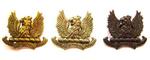 Previous product: The Ayrshire Yeomanry (Earl Of Carricks Own)