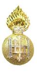 Previous product: Royal Highland Fusiliers Cap Badges