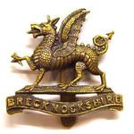 Next product: The Brecknockshire Battalion Cap Badge