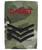 Cadet Rank Slide Corporal Lance Corporal Sergeant BTP Multicam type Ripstop Rank slide