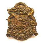Next product: Cap Badge Of The Cardiff Pals