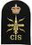 CIS Communication information systems naval badge
