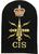 CIS Communication Information Systems Naval Badge - thumbnail image 2