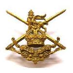 Next product: Infantry Training Battalion Cap Badges