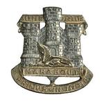 Previous product: Devon And Dorset Regiment Cap Badge Various Styles