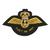 Fleet Air arm blazer badge 