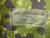 New Danish Bergen M/96 CQC 2000 DENMARK Woodland Flacktarn Camo PLCE Bergan Daysack - thumbnail image 6