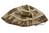 Genuine British Army Issue MK6 Desert DPM Helmet Cover, New - thumbnail image 3