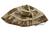 Genuine British Army issue MK6 Desert DPM Helmet Cover, New