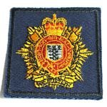 logistic beret badge