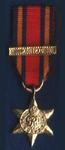 Previous product: Burma Star Miniature Medal
