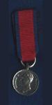 Next product: Miniature Waterloo Medal