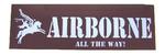 Previous product: Airborne All the way sticker