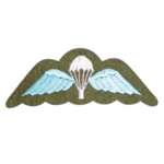 Para Wings