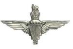 Next product: Parachute Para Regiment Cap Badges