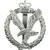 Army Air Corps AAC Cap Badge Various Badges - thumbnail image 3