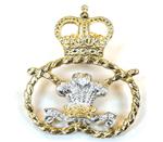 Previous product: Staffordshire Regiment Collar Badges (Pair)