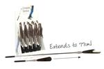 Extendable shoe horn