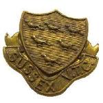 Next product: Cap Badge Of The Sussex V.T.C