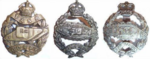 Tank Regiment Cap Badges