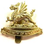 Next product: University Of Wales OTC