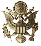 US Cap Badge