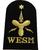 WESM weapons engineer submariner naval cloth badge