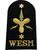 WESM weapons engineer submariner naval cloth badge