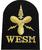 WESM Weapons Engineer Submariner Naval Cloth Badge - thumbnail image 4