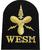 WESM weapons engineer submariner naval cloth badge