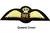 RAF Pilots Wings WWII Wartime Style RAF Pilot Wings / Brevet Kings Crown Queens Crown - thumbnail image 2