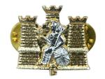 Next product: Royal Anglian Collar Badge (Pair)