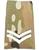 MTP Rank Slide Multicam Rank Tab Slide, Various Pairs - thumbnail image 6