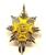 Worcestershire And Sherwood Foresters Cap Badges - thumbnail image 1
