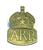 ARP WWII Air Raid Precautoions Pin on Lapel stud badge