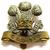 Caernarvon and denbigh yeomanry cap badges