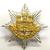 East Anglia Brigade Cap Badge Various Styles - thumbnail image 1