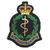Medical Corps blazer badge