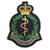 Medical Corps Blazer Badge - thumbnail image 1