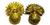 Grenadier Guards Cap Badges  - thumbnail image 2