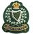 Blazer badge of the Irish Regiments