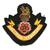 Loyal Regiment Blazer Badge  - thumbnail image 4