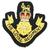 Loyal regiment blazer badge 