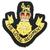 Loyal Regiment Blazer Badge  - thumbnail image 3