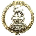 Previous product: Mons Officer Cadet Cap Badge