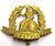 Norfolk Regiment 1914 Bi Metal and Brass Infantry Cap Badge