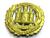 Northamptonshire Infantry Regiment Cap badges Various Badges