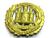 Northamptonshire Infantry Regiment Cap Badges Various Badges - thumbnail image 3