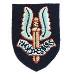 Next product: Special Air Service SAS Cloth Beret Badge