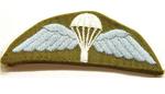 Next product: WWII Wartime Style Para Wings - Khaki